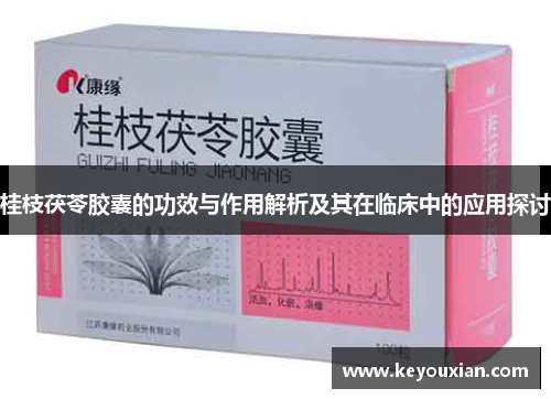 桂枝茯苓胶囊的功效与作用解析及其在临床中的应用探讨
