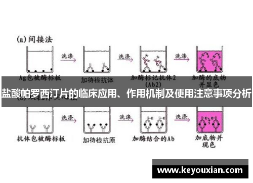 盐酸帕罗西汀片的临床应用、作用机制及使用注意事项分析