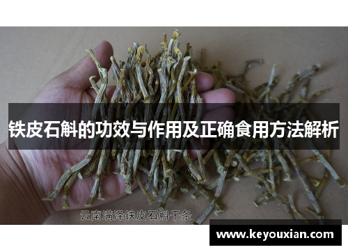 铁皮石斛的功效与作用及正确食用方法解析