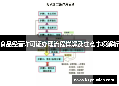 食品经营许可证办理流程详解及注意事项解析
